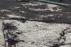 IMG-20240827-WA0042